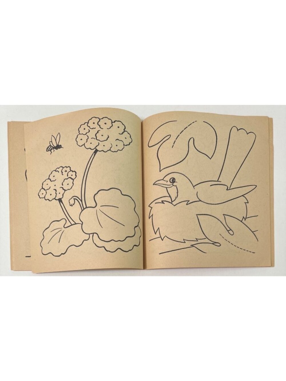 Vtg 1958 First Coloring Book Clarence Biers Whitman Publishing Children Activity - Picture 10 of 16